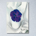Georgia O'Keeffe / Petunia,1925 Poster