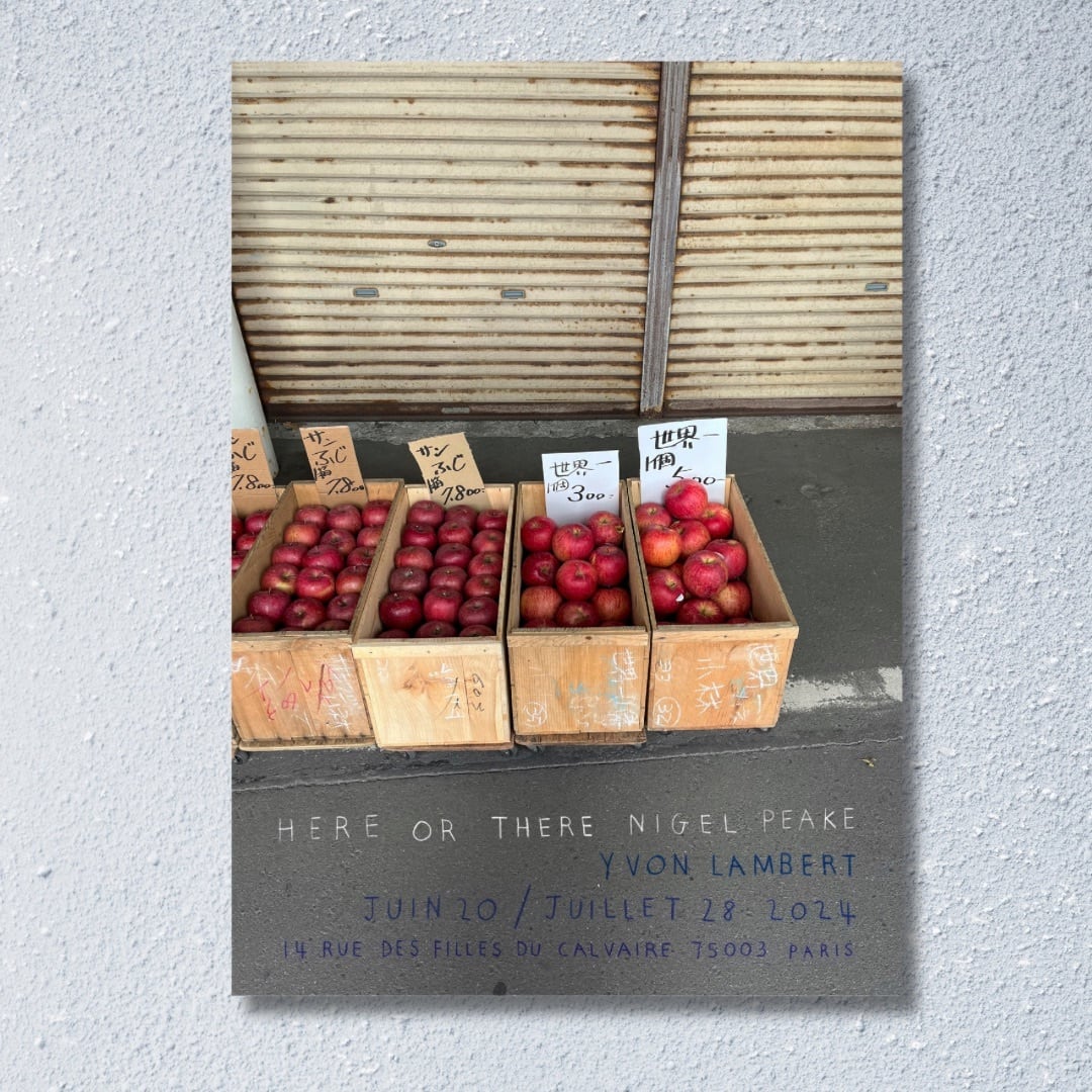 国内未入荷?Nigel Peake 展覧会「HERE OR THERE」両面印刷 希少ポスター