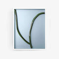 Ronan Bouroullec Bas Relief 7 国内未入荷ポスター