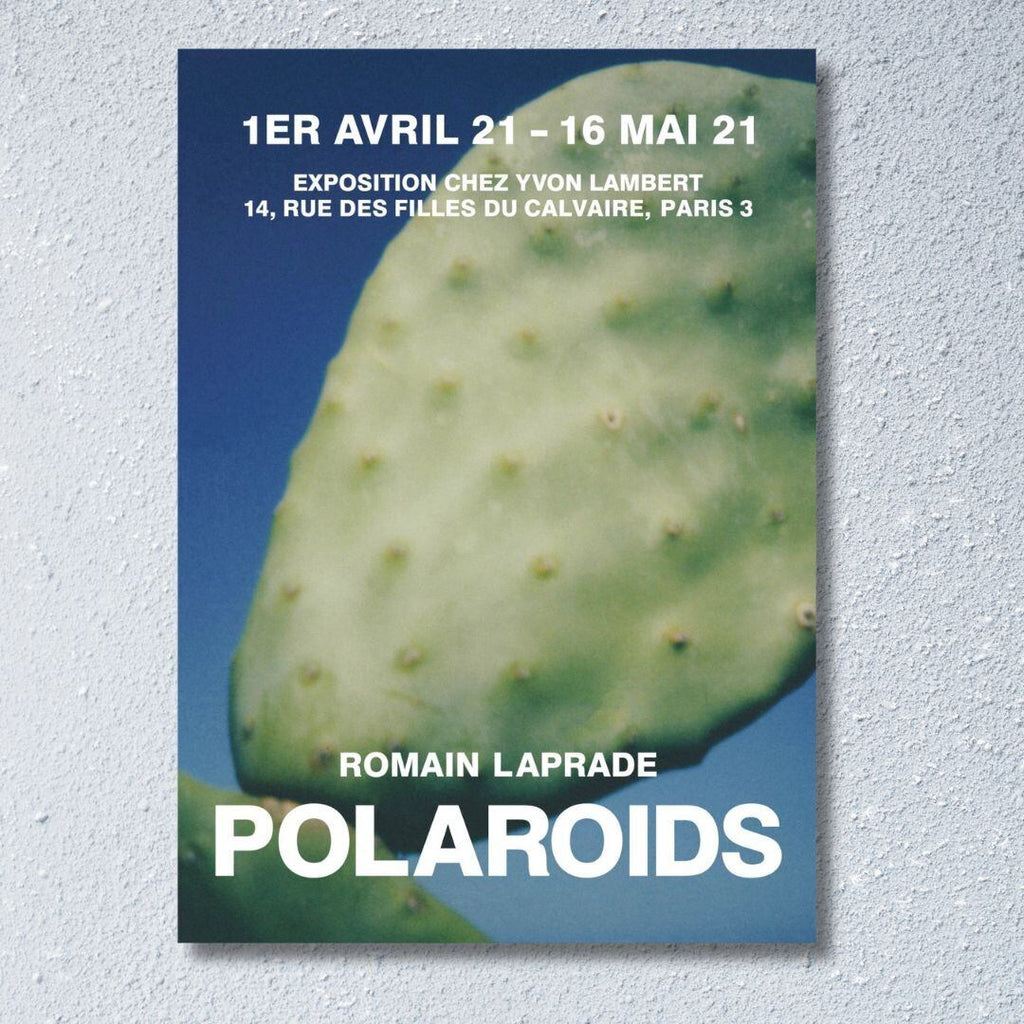 Romain Laprade - Polaroids (Posters)