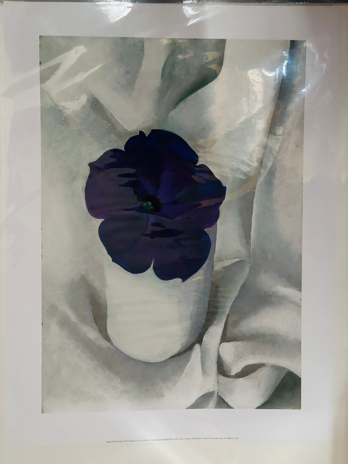 Georgia O'Keeffe / Petunia,1925 Poster - 画像3