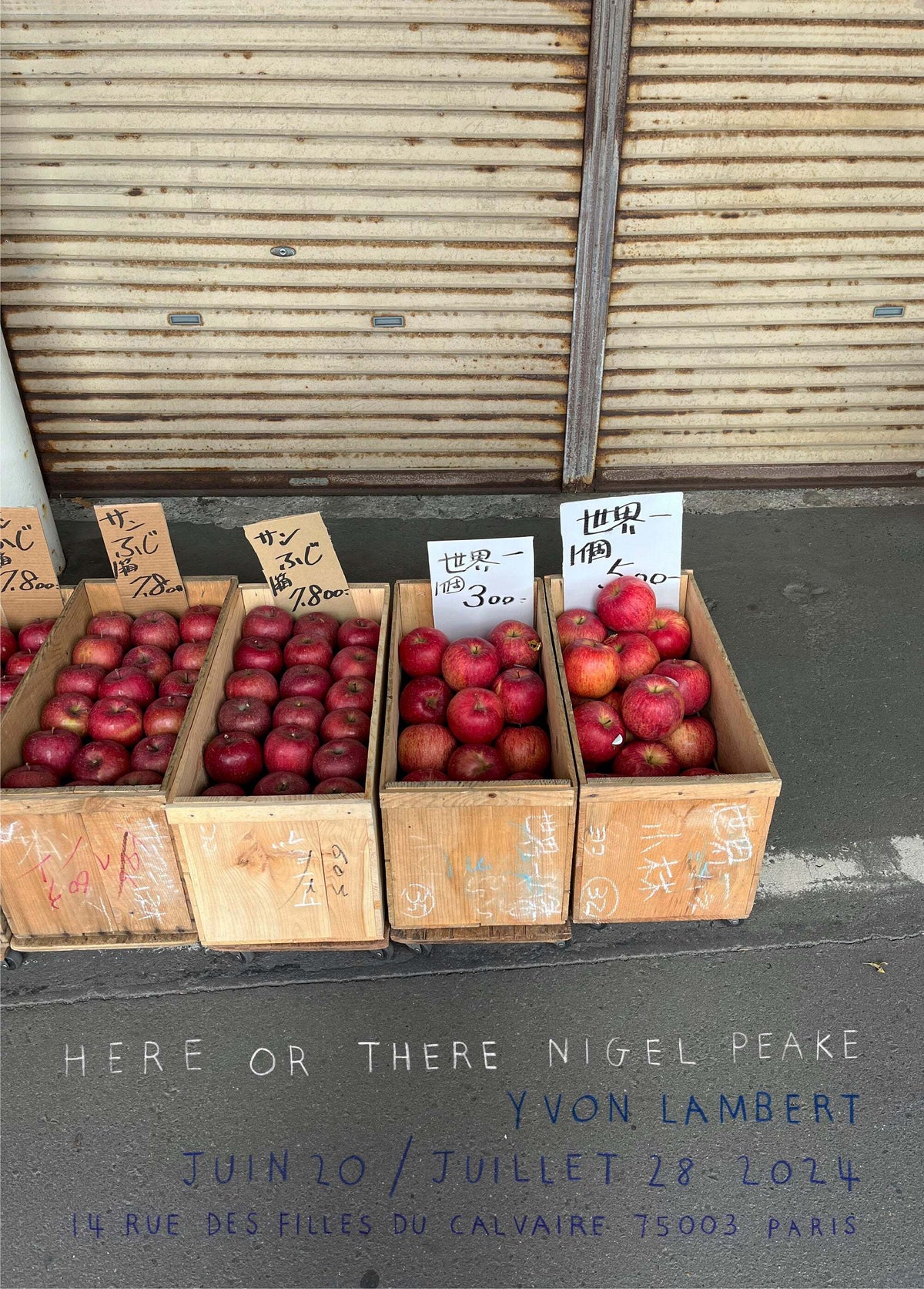 国内未入荷?Nigel Peake 展覧会「HERE OR THERE」両面印刷 希少ポスター - 画像3