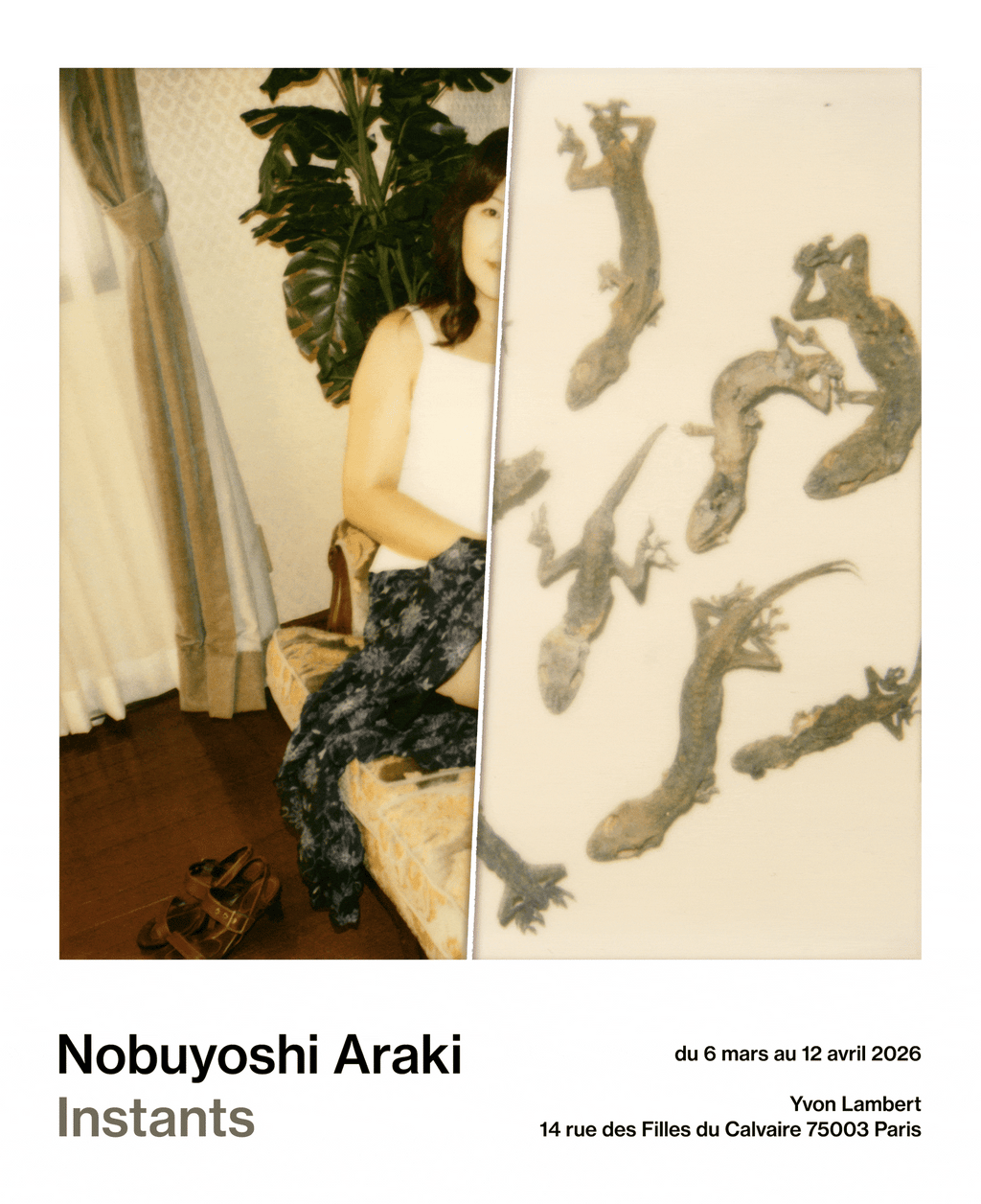 荒木経惟 Nobuyoshi Araki「Instants」｜Yvon Lambert (2026)