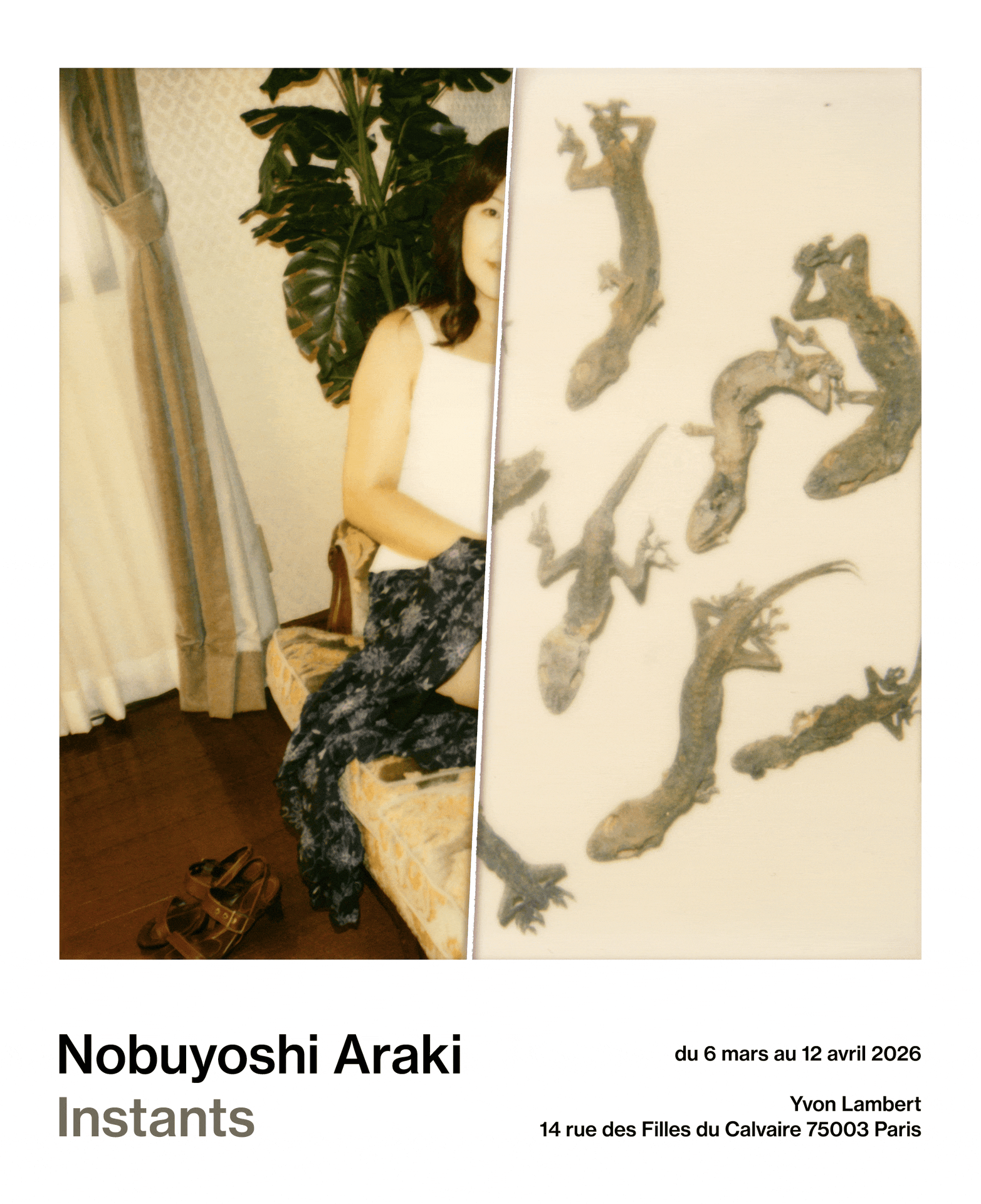 荒木経惟 Nobuyoshi Araki「Instants」｜Yvon Lambert (2026)