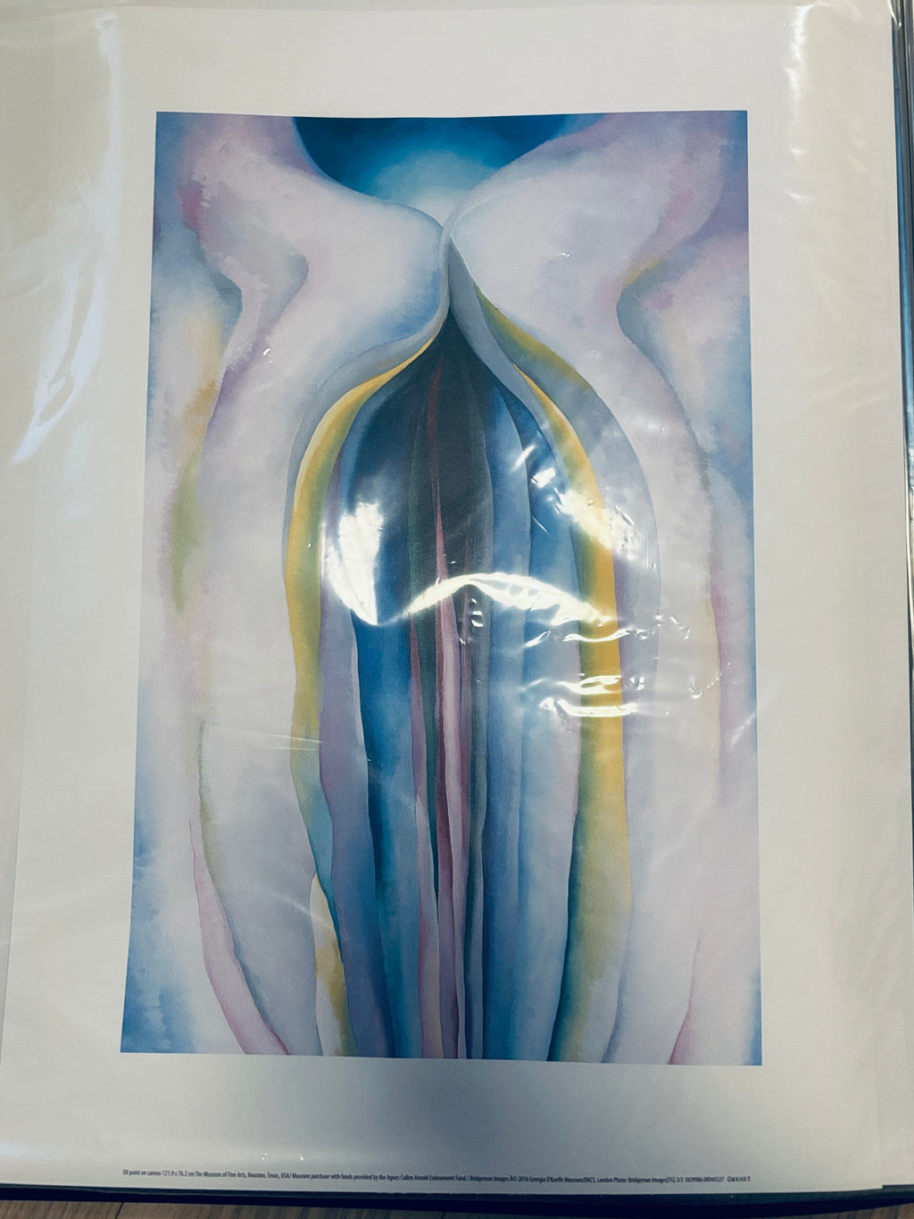 Georgia O'Keeffe ジョージア・オキーフ テートモダン国内未入荷正規ポスター - 画像3