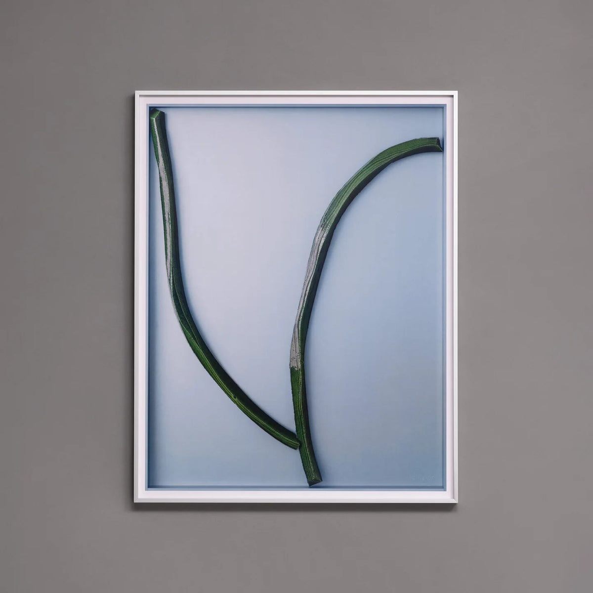 Ronan Bouroullec Bas Relief 7 国内未入荷ポスター - 画像2