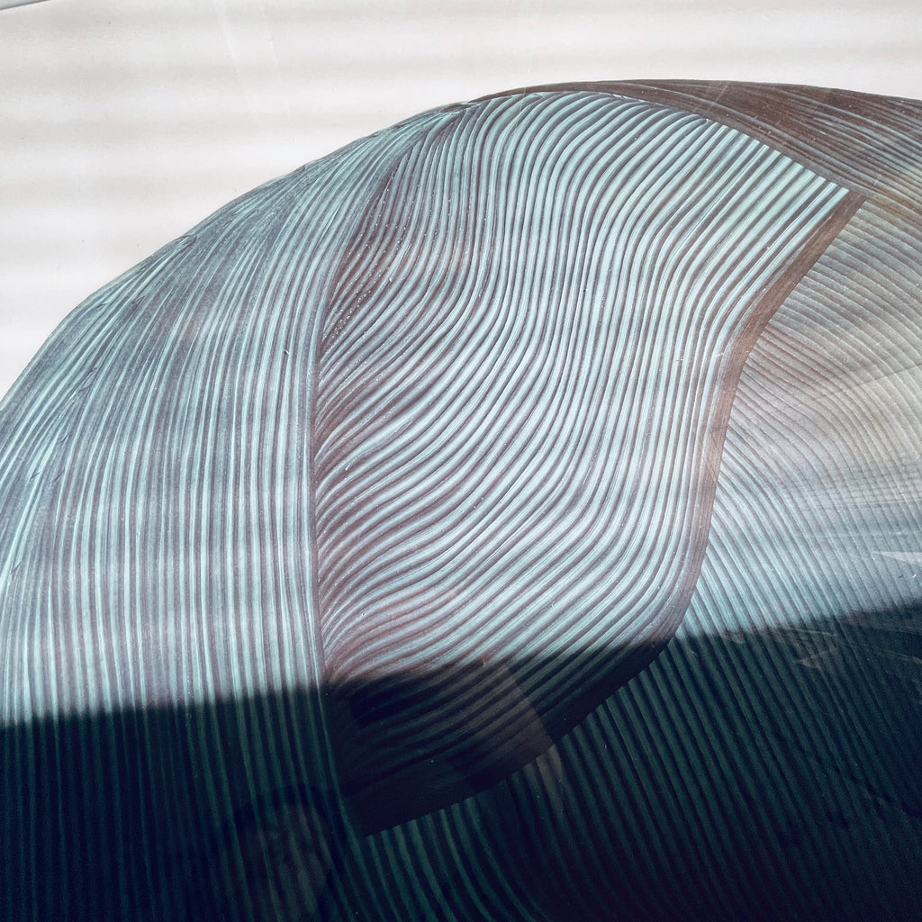 【特注フレーム付き】Ronan Bouroullec _ DRAWING Poster #4 - 画像2