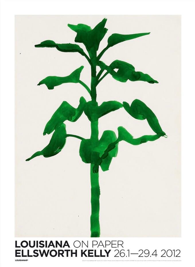 Ellsworth Kelly Sunflower (1957)?Poster A1額装セット - 画像9