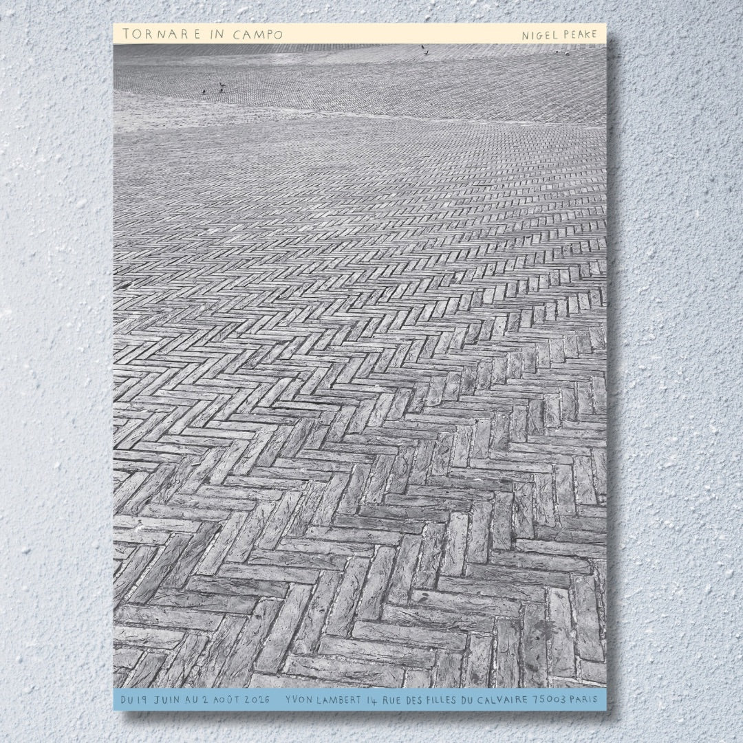 Nigel Peake「Tornare In Campo」｜Yvon Lambert (2026) 両面ポスター
