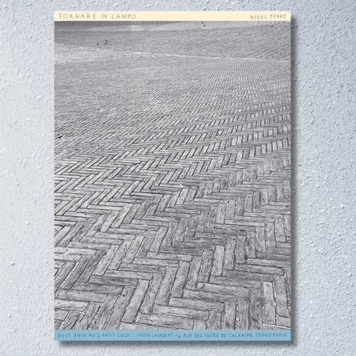 Nigel Peake「Tornare In Campo」｜Yvon Lambert (2026) 両面ポスター