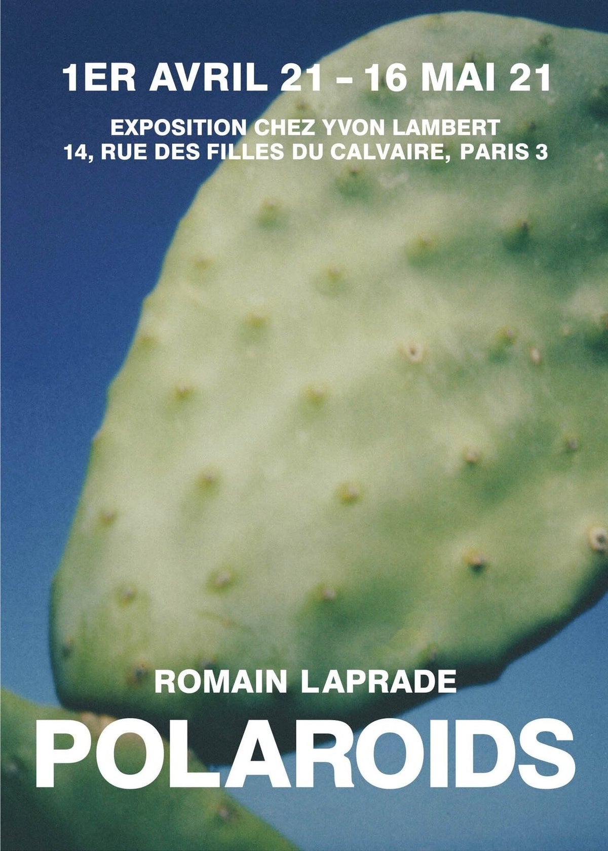 Romain Laprade - Polaroids (Posters) - 画像2