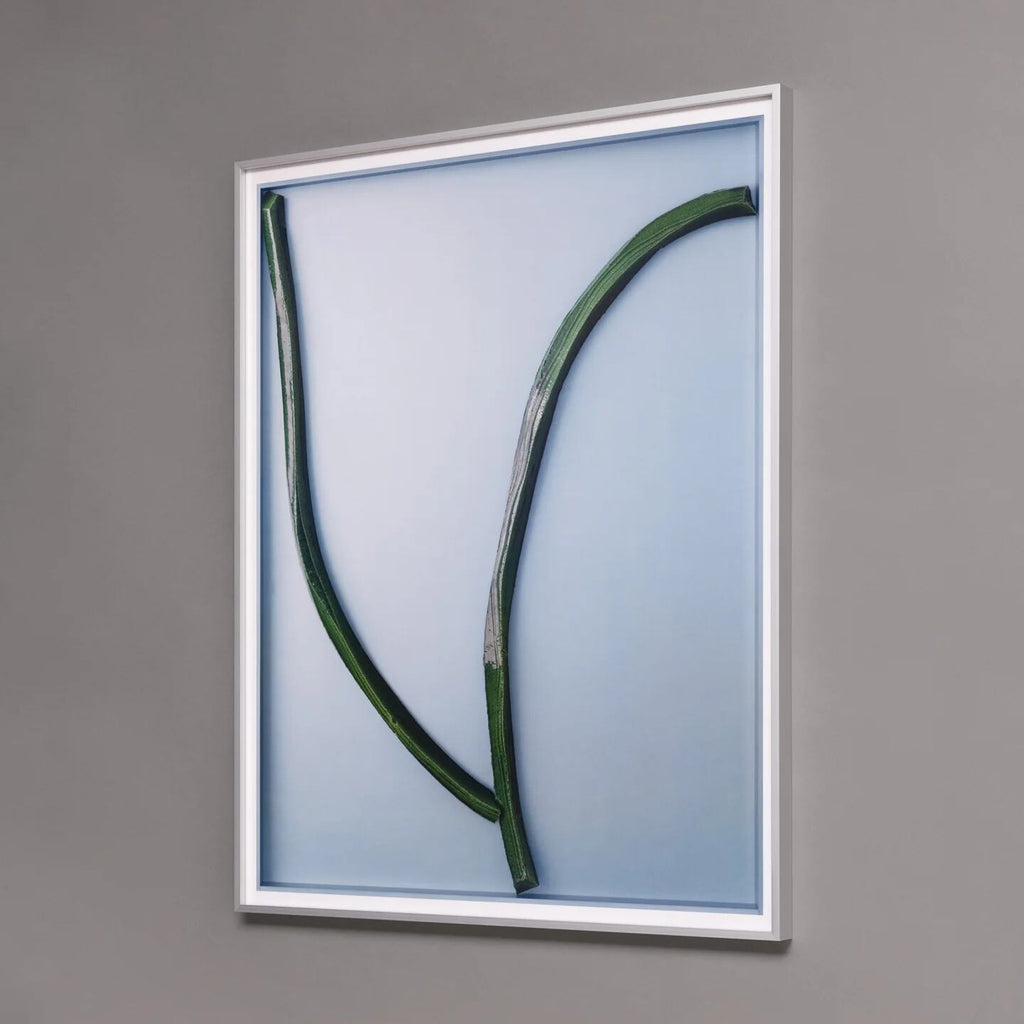Ronan Bouroullec Bas Relief 7 国内未入荷ポスター - 画像3