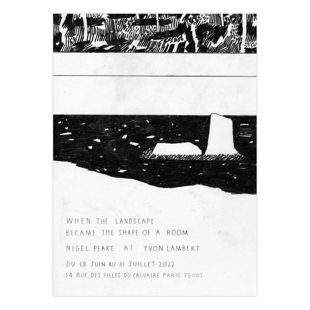 国内未入荷フランス限定 額装付き Nigel Peake 希少ポスター - 画像2