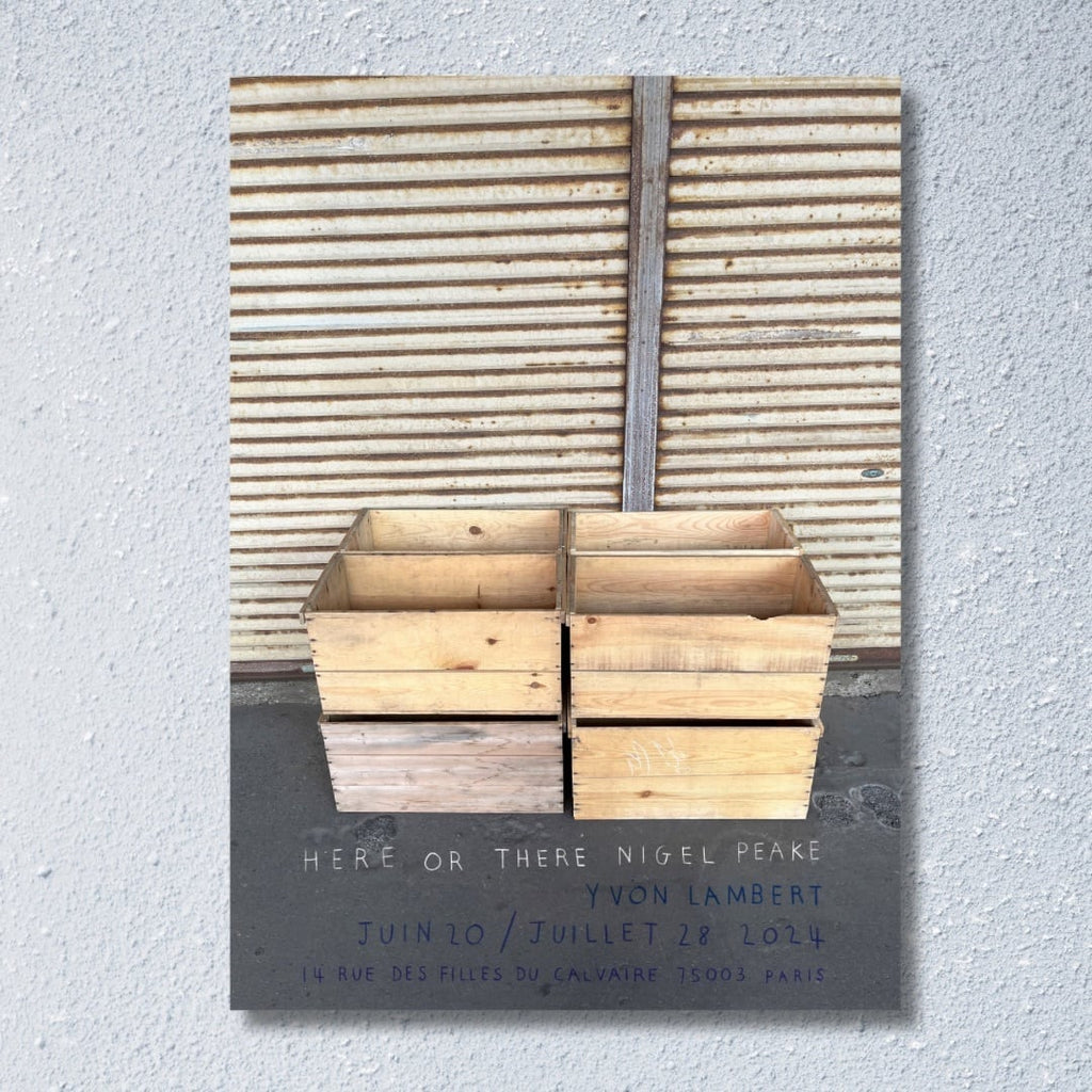 国内未入荷?Nigel Peake 展覧会「HERE OR THERE」両面印刷 希少ポスター - 画像2