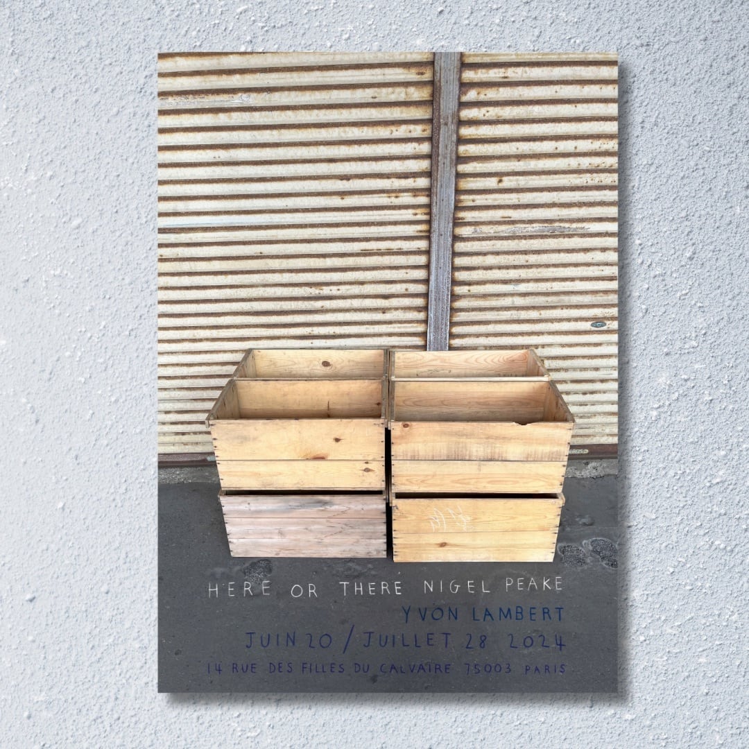 国内未入荷?Nigel Peake 展覧会「HERE OR THERE」両面印刷 希少ポスター - 画像2