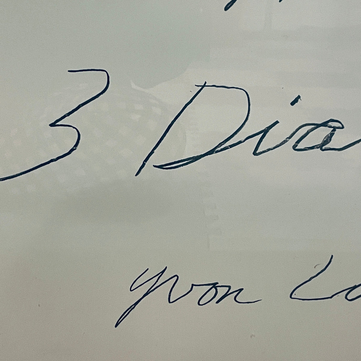 再入荷:特注木製フレーム内装  Cy Twombly1977 希少ポスター - 画像3